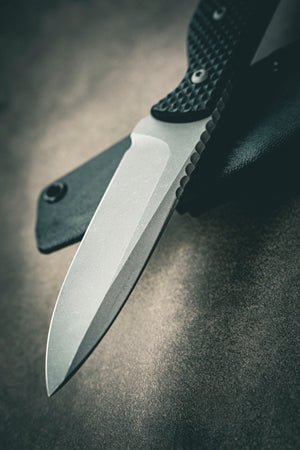 AO Model