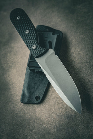 AO Model