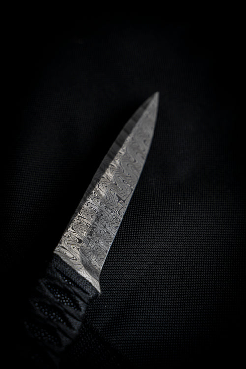 ETR-L Damascus