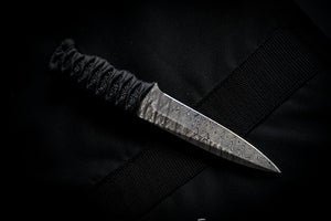 ETR-L Damascus