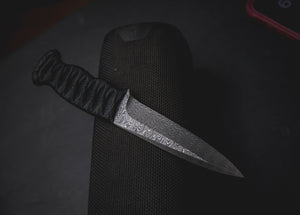 ETR-L Damascus