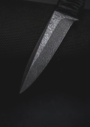 ETR-L Damascus