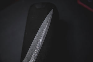ETR-L Damascus